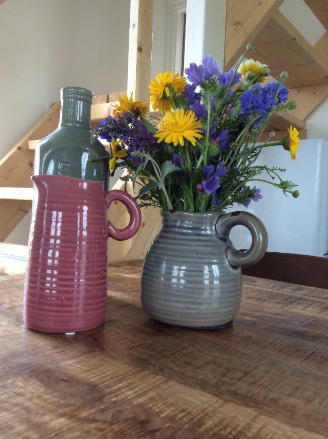 Vakantiewoning Het Gemaal Oostwold  エクステリア 写真